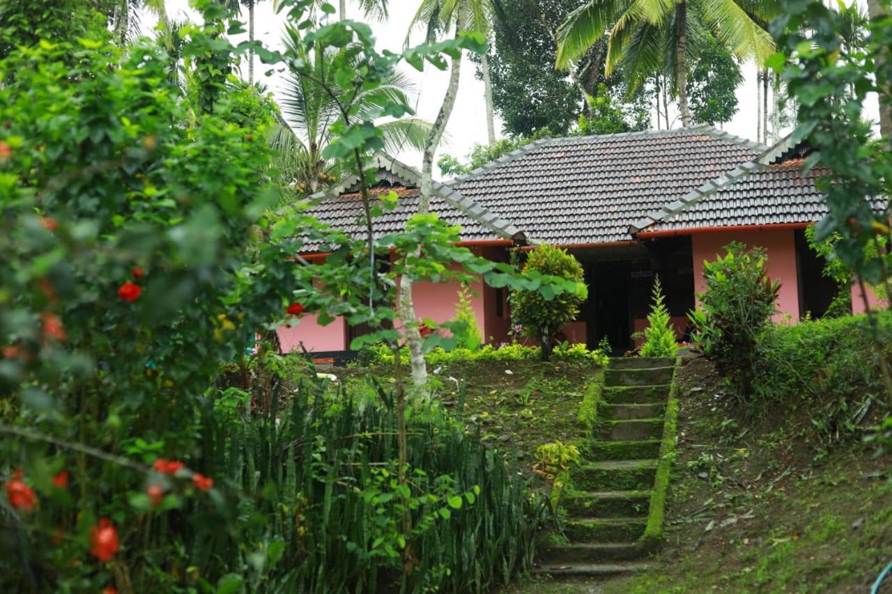Coffee Island Resort Kaniyāmbetta Eksteriør billede
